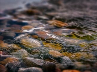Maximising value from real-time data streams