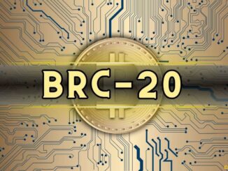 BRC-20 Token Trading Volume Skyrockets 10x Since November 2023, Kaiko Reports