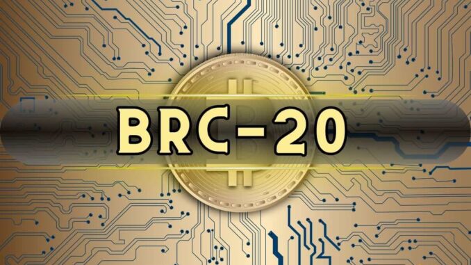 BRC-20 Token Trading Volume Skyrockets 10x Since November 2023, Kaiko Reports