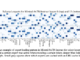 This Paper Explores Deep Learning Strategies for Running Advanced MoE Language Models on Consumer-Level Hardware