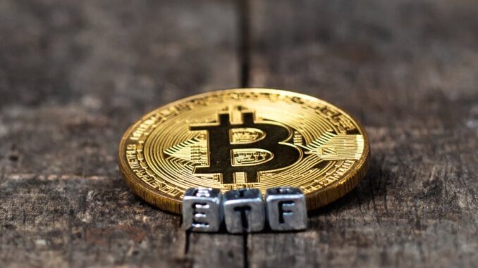 Bitcoin ETF Issuers May Dwindle by End of Year, Says Valkyrie CIO