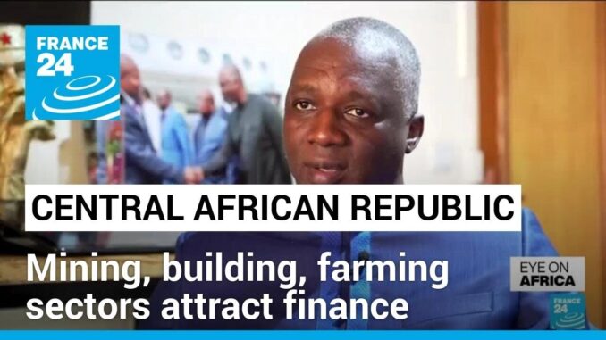 Investing in CAR: Mining, building & farming sectors attract finance from Rwanda • FRANCE 24