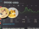 DOGE eyes $0.2 following Elon Musk’s comment as Memeinator’s presale approaches $7m