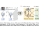 FedFixer: A Machine Learning Algorithm with the Dual Model Structure to Mitigate the Impact of Heterogeneous Noisy Label Samples in Federated Learning