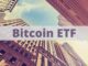 Here's What Financial Advisors Think Of The Bitcoin ETFs, According To Bitwise