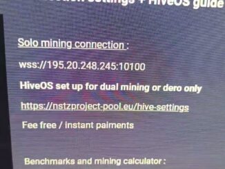 New DERO pool fee free + HIVE OS dual mining randomX guide