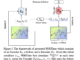 Revolutionizing Long-Term Multivariate Time-Series Forecasting: Introducing PDETime, a Novel Machine Learning Approach Leveraging Neural PDE Solvers for Unparalleled Accuracy