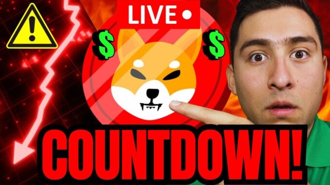 SHIBA INU COIN WHO IS SELLING SHIB!?🔴FINAL CRYPTO COUNTDOWN