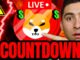 SHIBA INU COIN WHO IS SELLING SHIB!?🔴FINAL CRYPTO COUNTDOWN