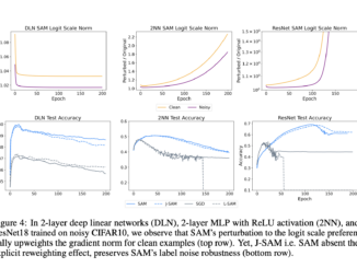 Exploring Sharpness-Aware Minimization (SAM): Insights into Label Noise Robustness and Generalization