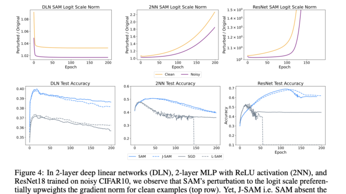 Exploring Sharpness-Aware Minimization (SAM): Insights into Label Noise Robustness and Generalization