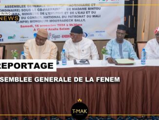 MALI MINING NEWS: ASSEMBLEE GENERALE DE LA FENEM