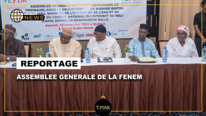 MALI MINING NEWS: ASSEMBLEE GENERALE DE LA FENEM