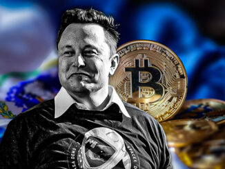 Elon Musk impressed by El Salvador’s over $300 million unrealized profit in Bitcoin