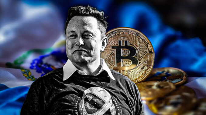 Elon Musk impressed by El Salvador’s over $300 million unrealized profit in Bitcoin