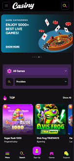 Discover Exciting Offers with Casiny Bonus Codes Discover Exciting Offers with Casiny Bonus Codes